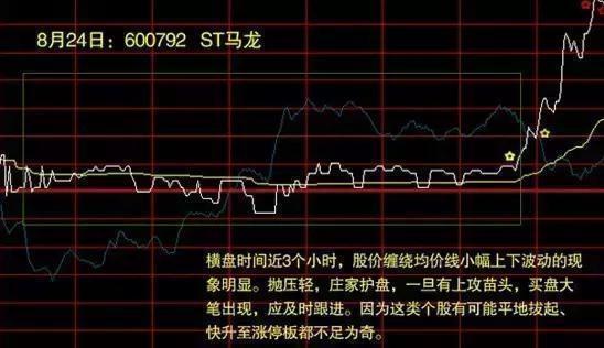 北大女博士罕见发声：如果有50万资金，高分红的