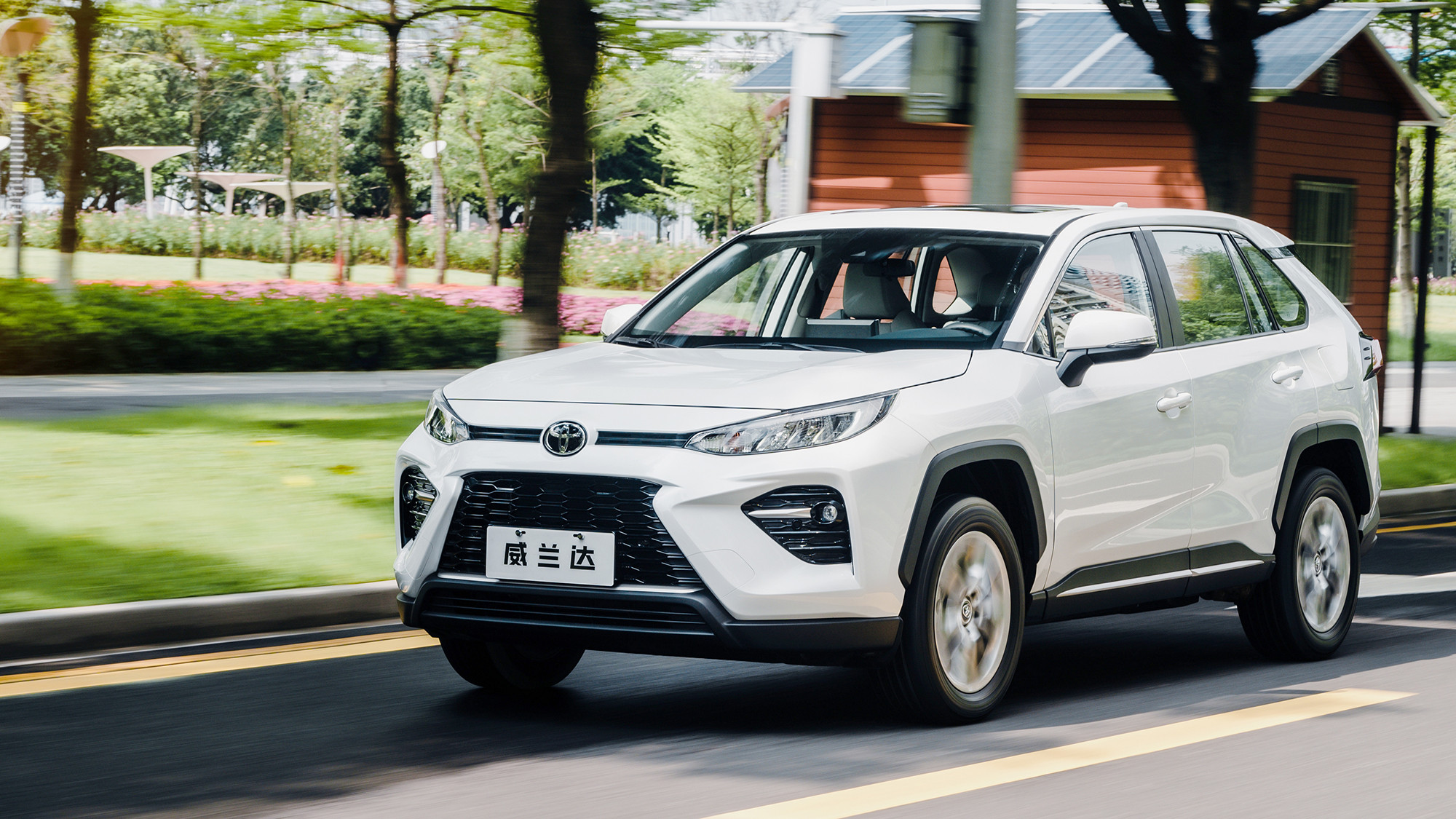 宝马3系被中国人买爆了！6月汽车销量出炉