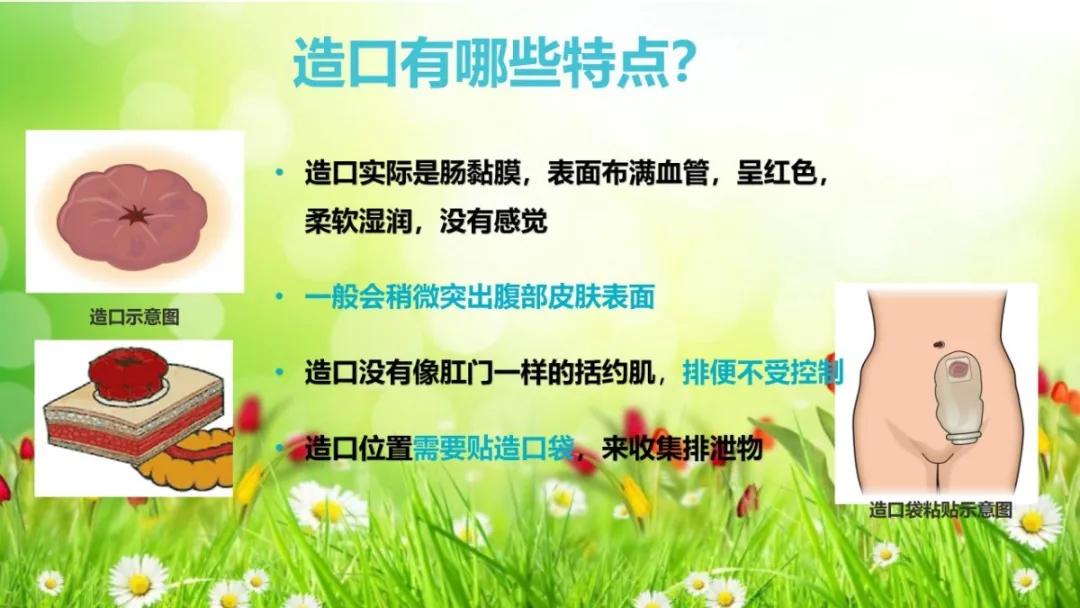 健康科普大赛获奖作品展示⑦丨肠造口术后患者健康教育