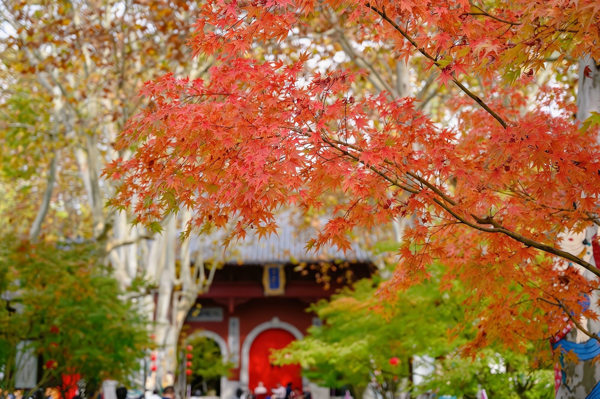This mountain in Nanjing is the "First Mingxiu Mountain in Jinling" written by Emperor Qianlong. The scenery is more beautiful in autumn