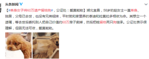 单身女子将60万遗产留给狗，公证处：从业几十年第一次遇到这种诉求