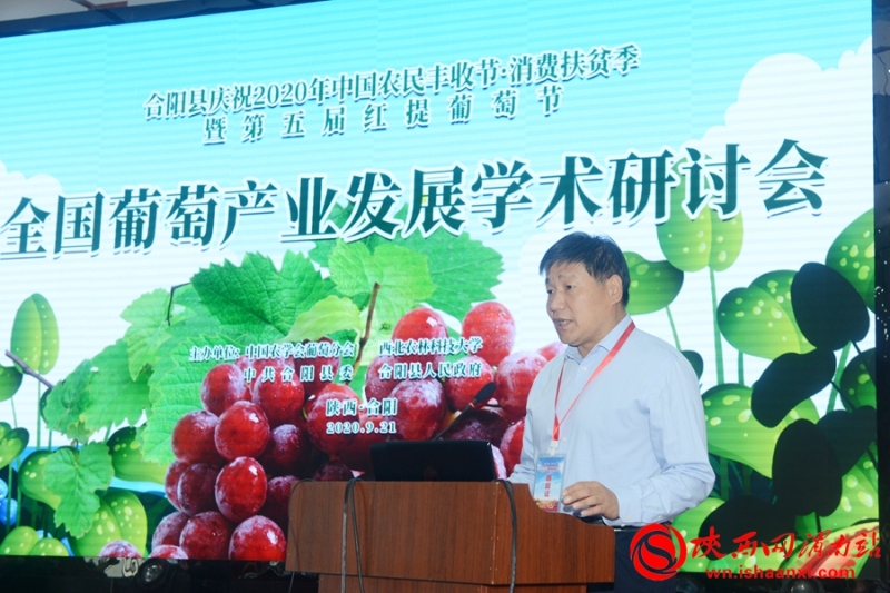 2020年全國葡萄產(chǎn)業(yè)發(fā)展學(xué)術(shù)研討會在合陽舉辦(組圖)