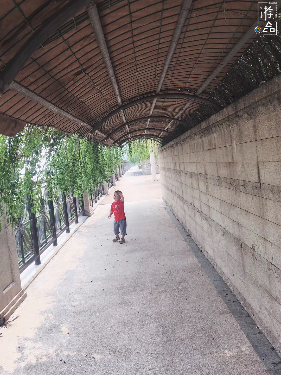 重庆人自己的外滩：九龙坡滨江路，从早到晚都能带给你惊喜