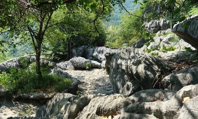 浙西的秘境山水打包送给你,这条自驾路线夏天去正好