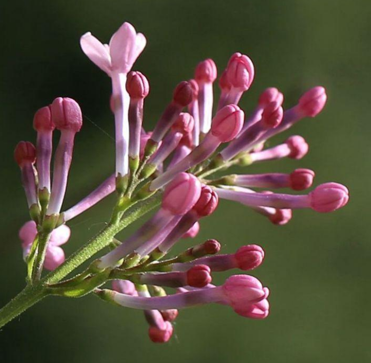 71岁老人说：人与人之间，不能看得太清楚，看得太清，你就败了