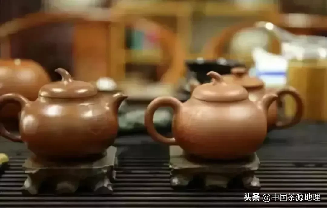 茶知识扫盲！喝茶人必须要知道...