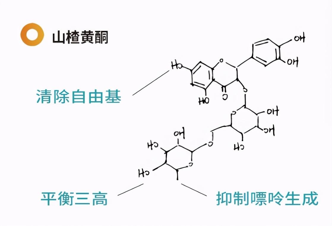 红酒配红肉才是餐酒搭配准则？圣八礼山楂酒打破你原有认知