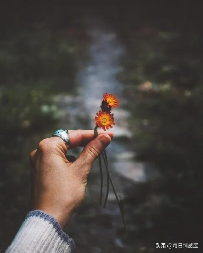 如阳光般励志的正能量句子