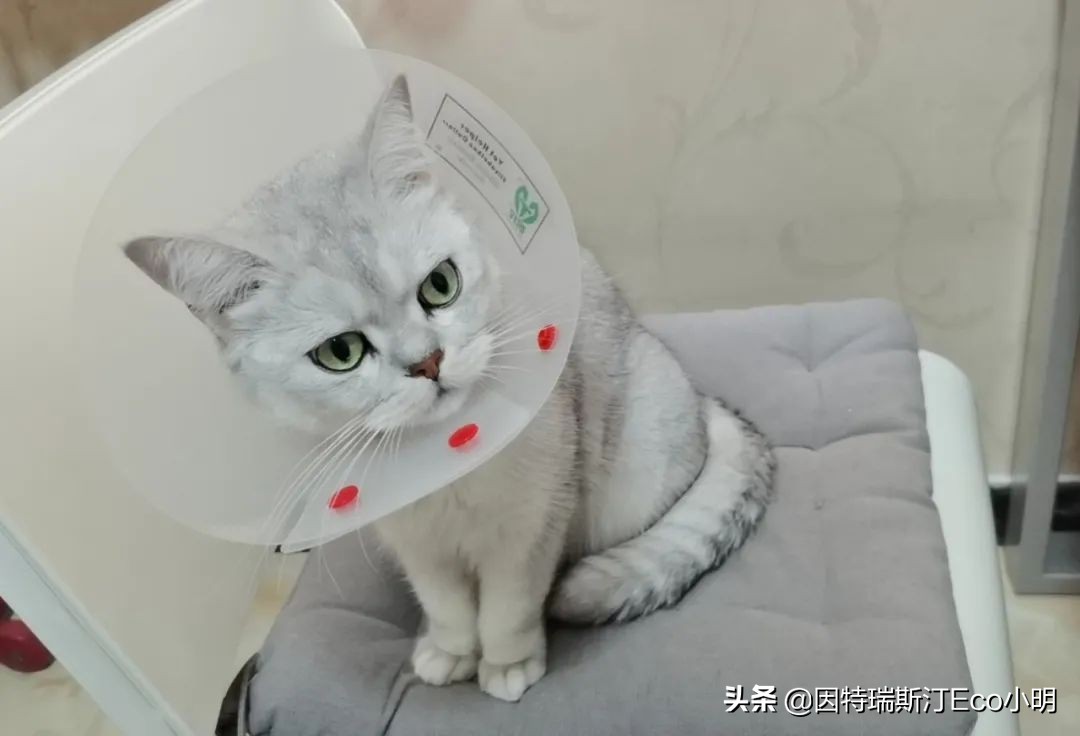 外资的惶恐离去，这次玩法也许要变了