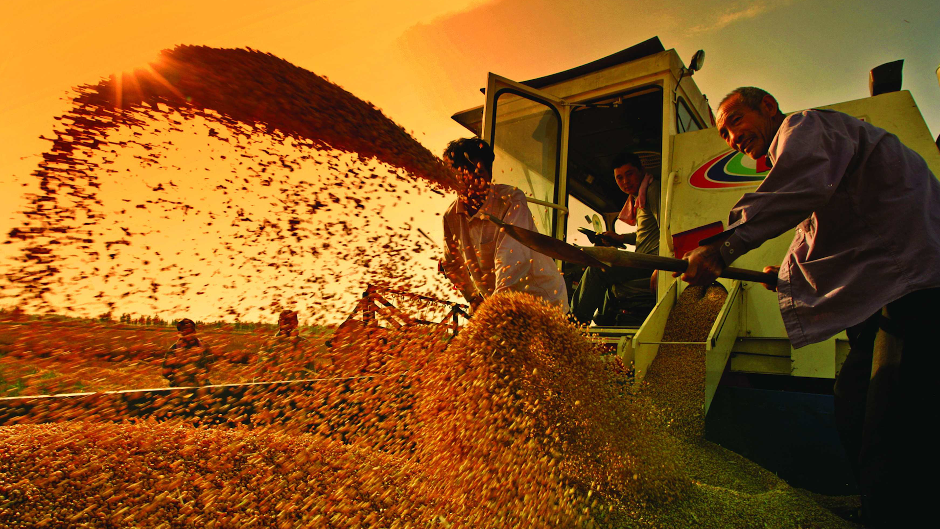 同样是人口大国，我们满世界买粮，印度反而成了出口大国？