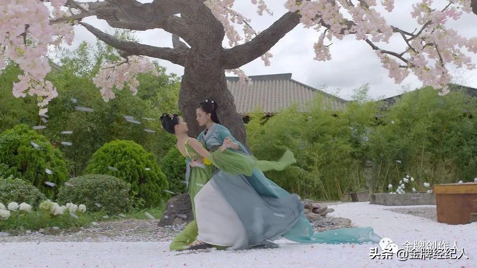 《陈芊芊》出圈，这些剧“反套路”中有“套路