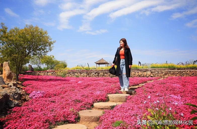 万亩桃花含苞待放，岱崮地貌等你来约