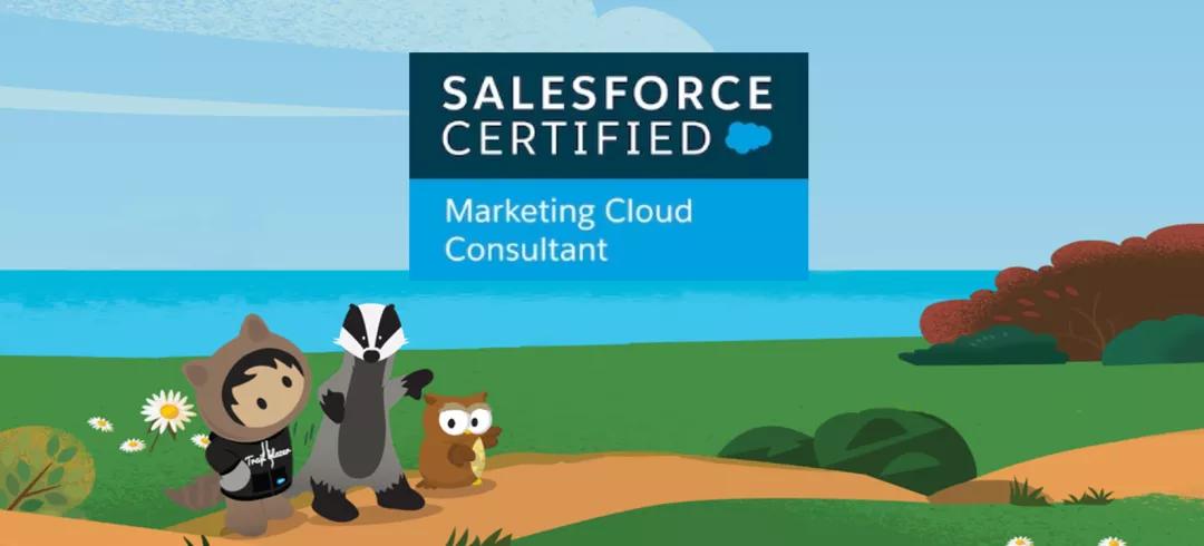 Salesforce营销云顾问模拟题库上线啦