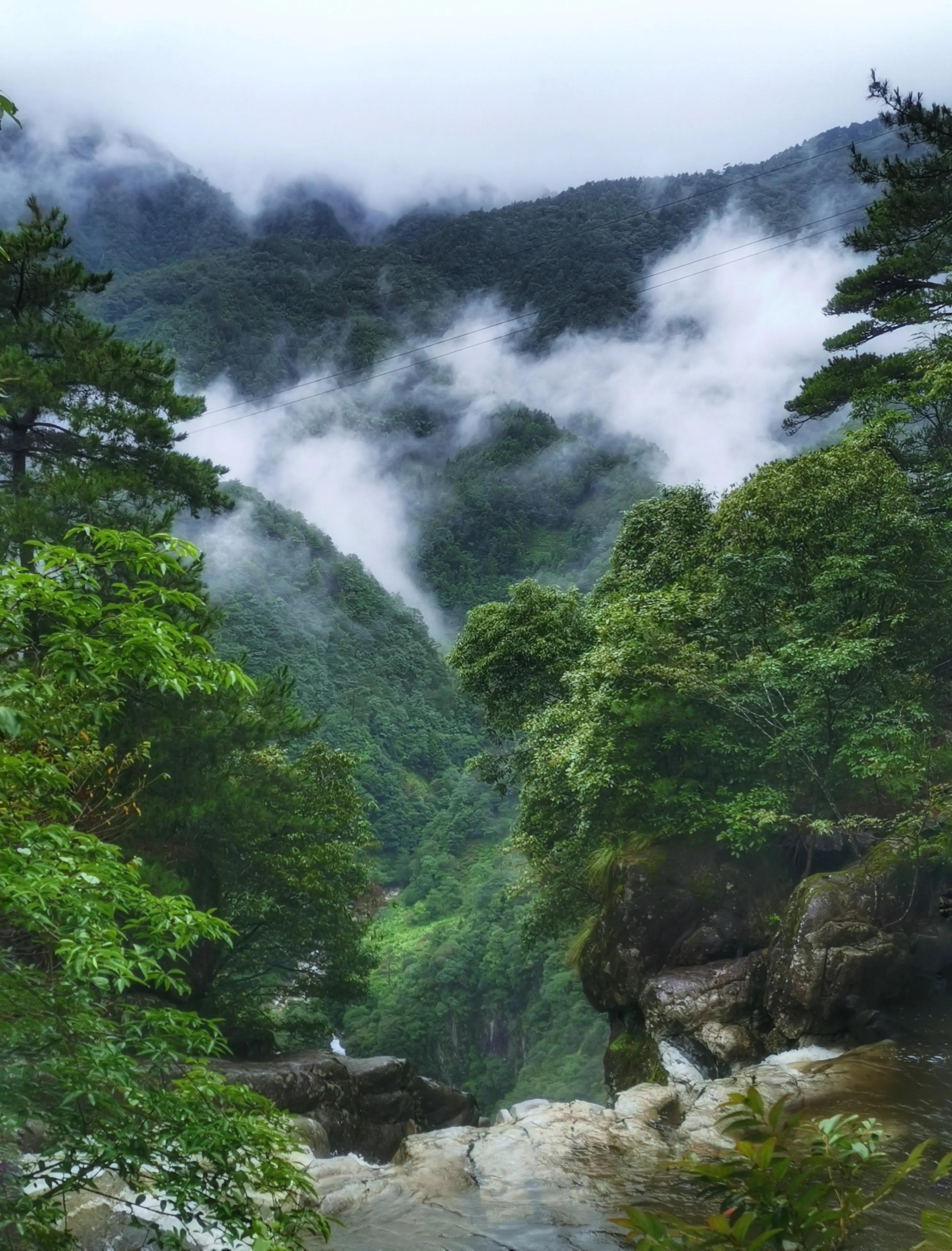 夏天去婺源：920米鄣山村避暑，13公里密林穿越，雨天看卧龙美景
