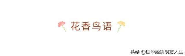 夏天美好诗词佳句-第10张图片-非凡网