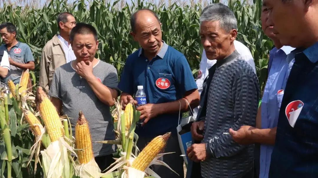 2021“祥云杯”农业科技下乡，教你科学种植水稻，夯实丰收基础