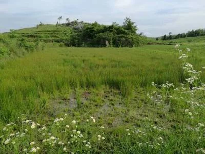 断粮十天人必死！听，粮食安全敲响的警钟震聋发聩！