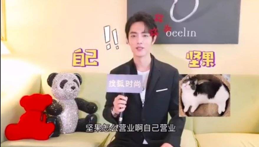肖战惊喜上线，营业晒坚果，导致众多粉丝羡慕一只猫