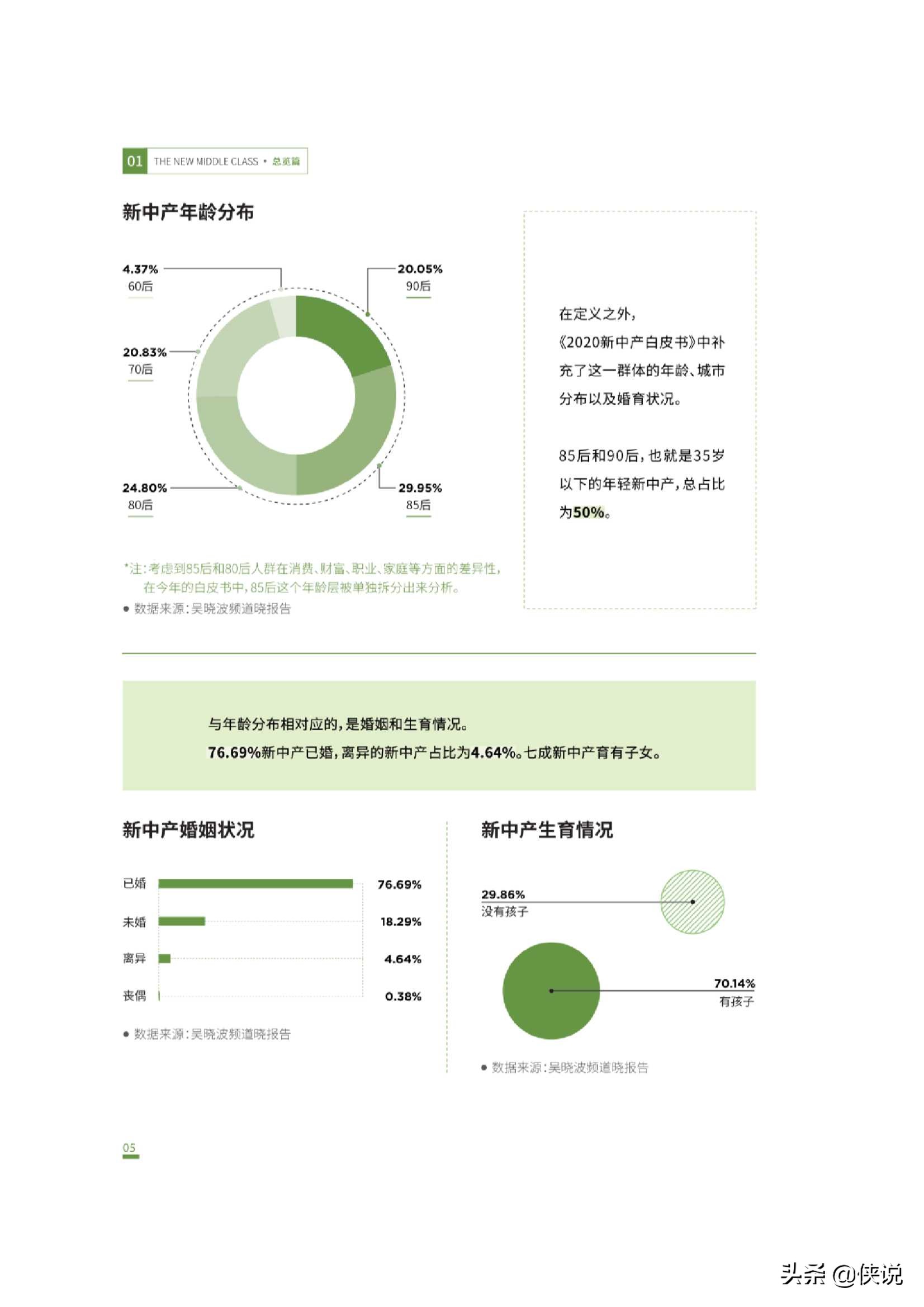 吴晓波频道：2020新中产白皮书