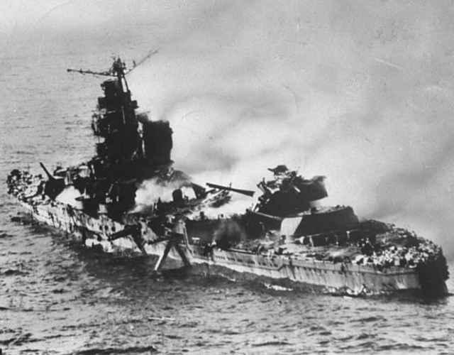 挂在树上70年未被发现，身上布满青苔终见天日，