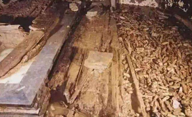 河北村民猪圈神秘丢猪，无奈只好报警，专家赶