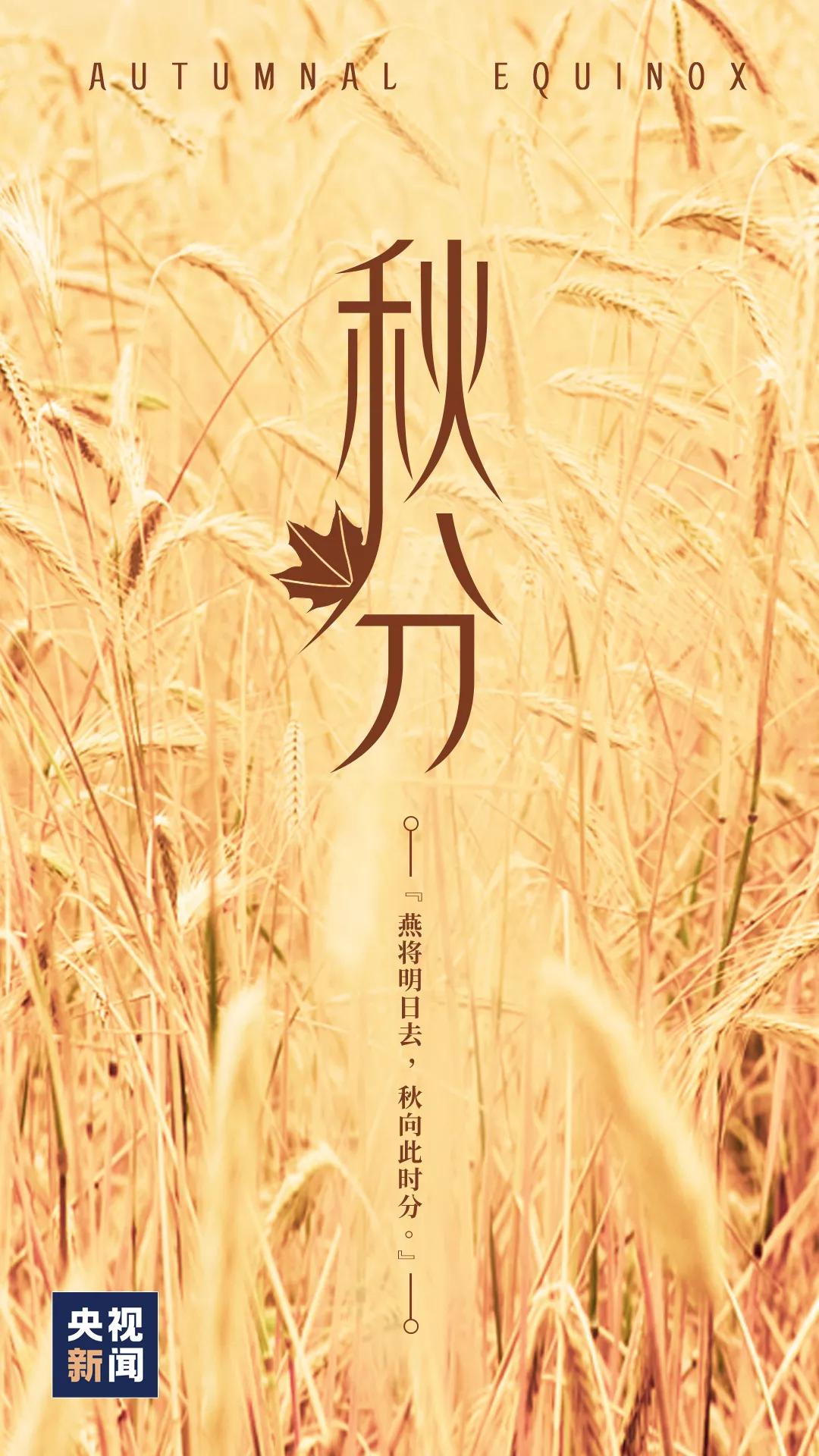 ⷨԷ
