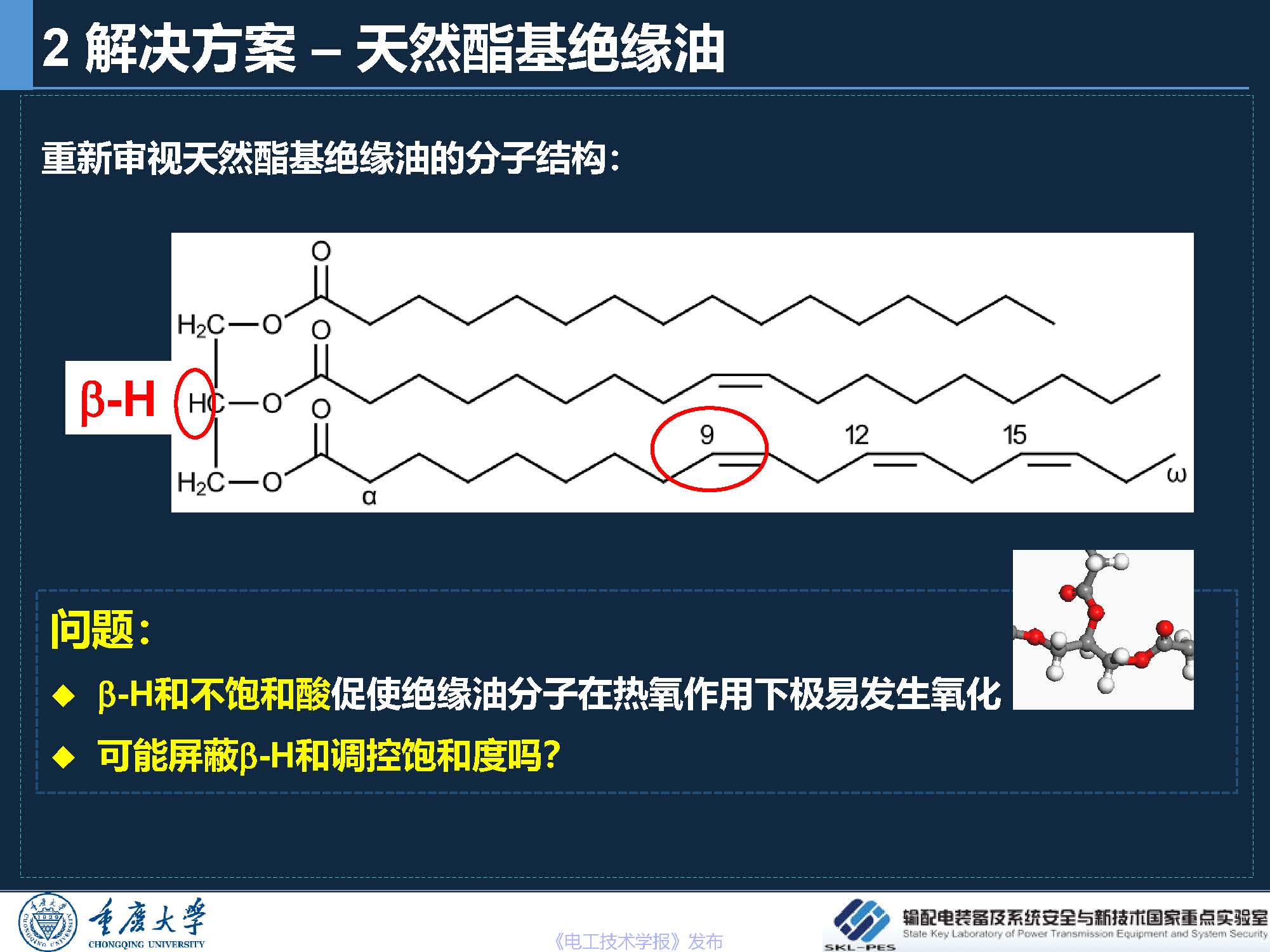 重庆大学 王飞鹏 研究员：环保安全的酯基绝缘油