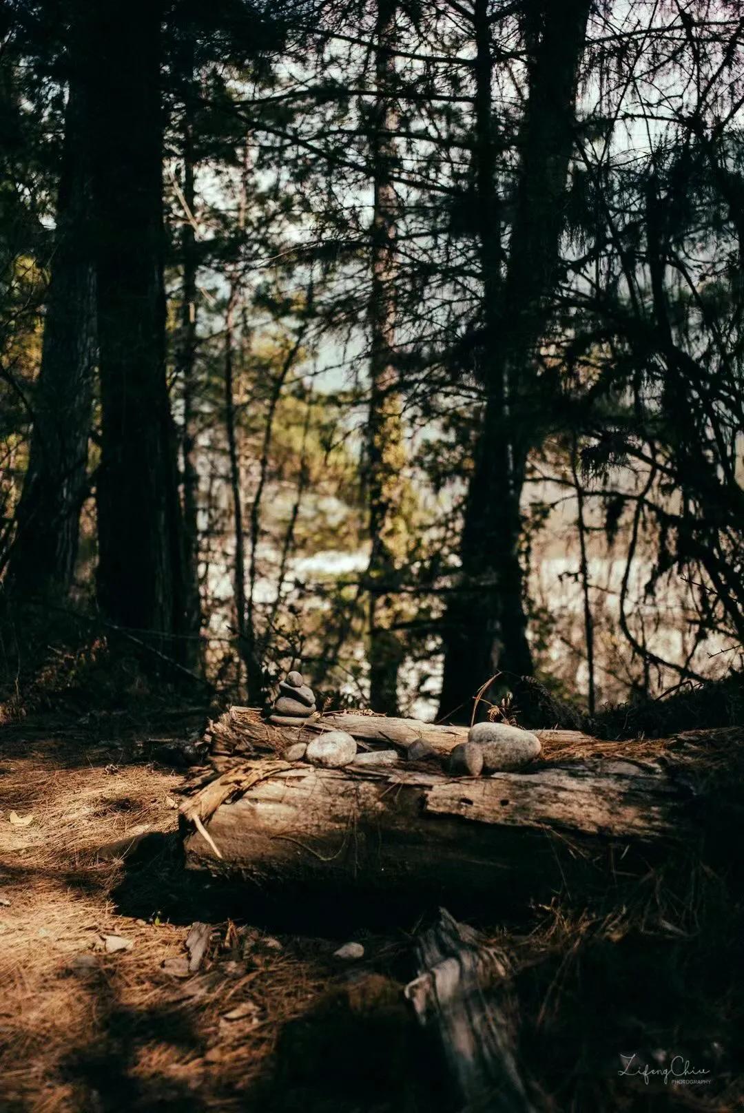 Guo Zitan·The Primitive Forest by Ranwu Lake - iNEWS