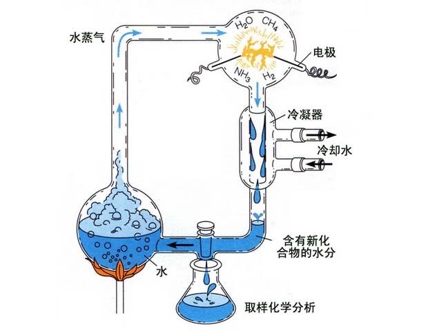 生命起源于何处？陨石中发现古微生物化石，地球形成前或已存在