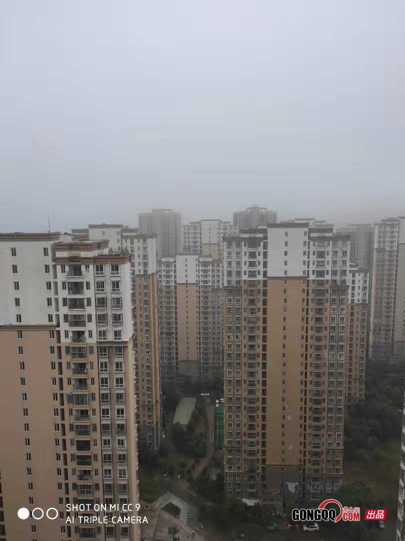 龚维权:老家熟悉的客人