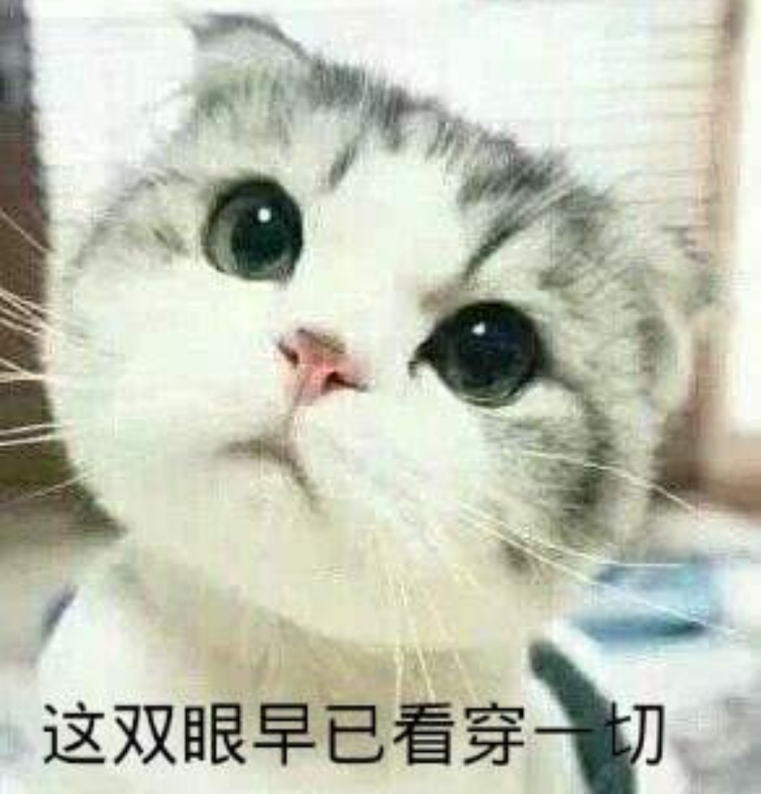 疫情当下，你帮过同事却不帮你，是他没有良心