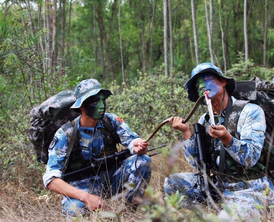 特种兵如此厉害，万一退役后走上黑道怎么办？其实国家早有规定了