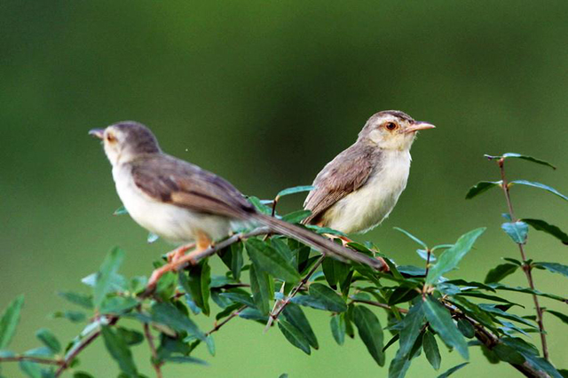 我们能不能好好说话？