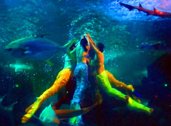 山东旅游：蓬莱探秘海洋极地世界（图）