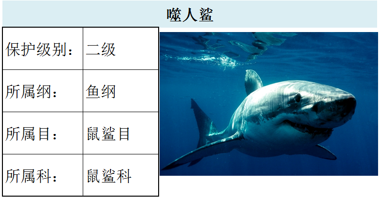 国家最新水生野生保护动物名录（共计三百余种），第2期