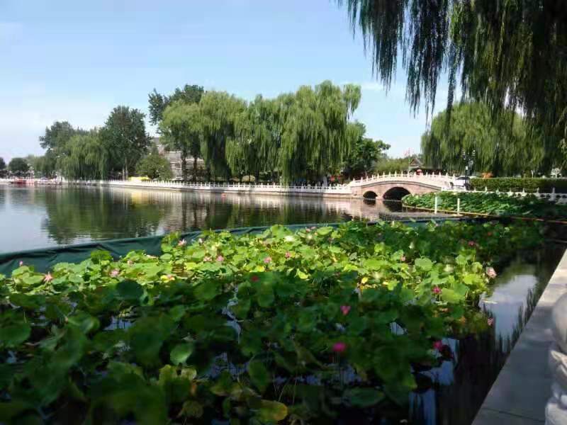 水调歌头·秋游北京什刹海