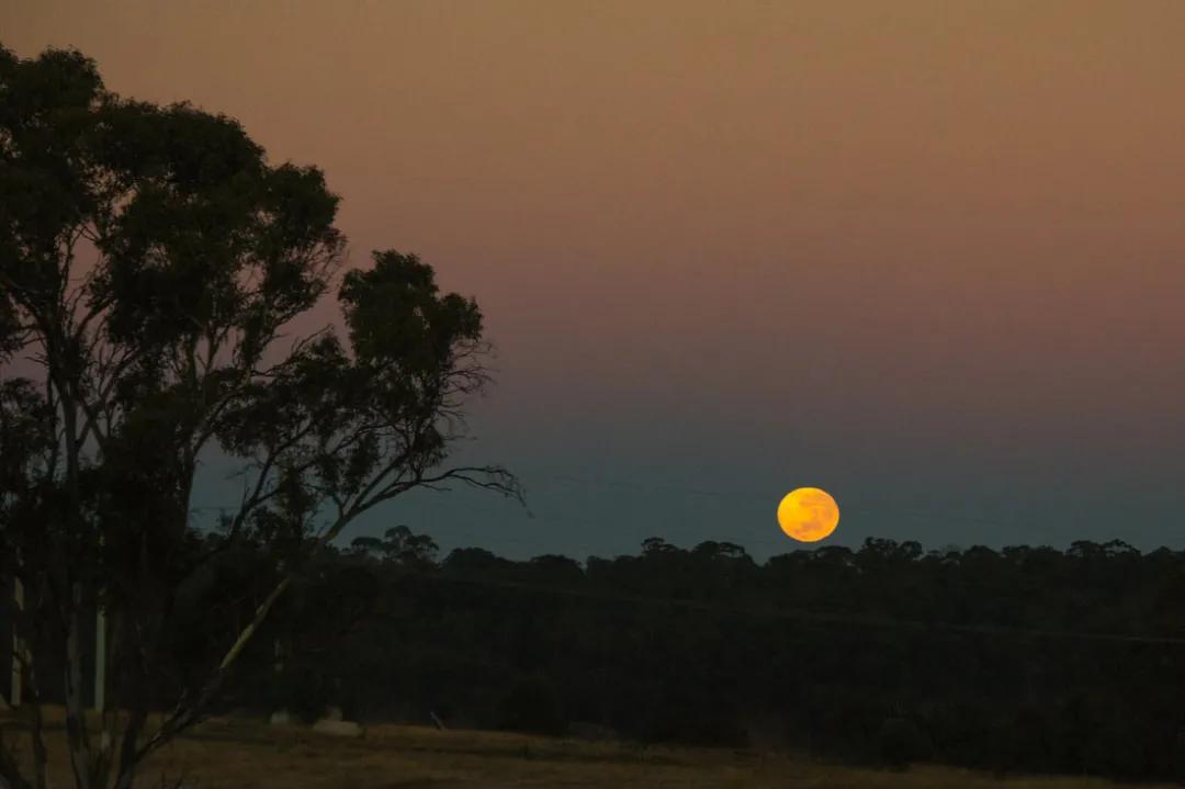 64岁老太不结婚，卖了豪宅住进8㎡蜗居，却过上