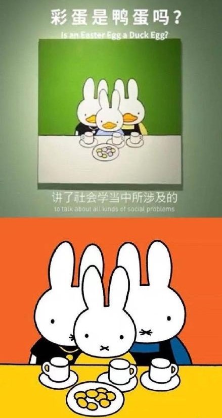 Response of wide beautiful professor borroweds incident, netizen: True exactly like, this has not borroweded