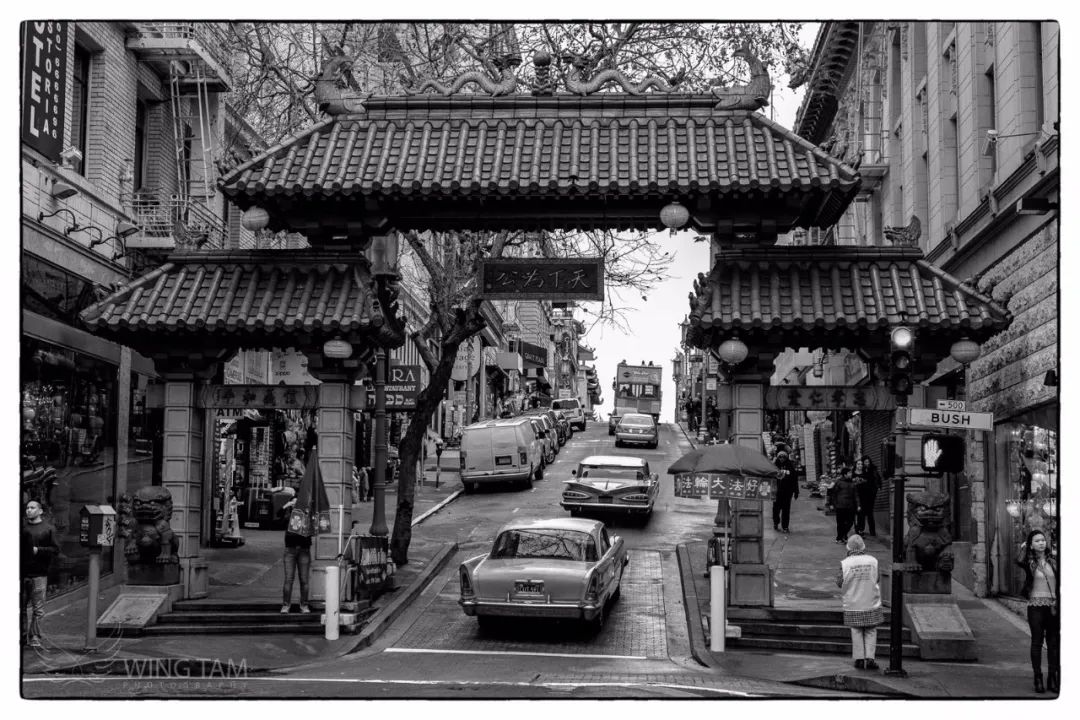 偷渡！杀戮！黑帮！“唐人街”的江湖故事，揭