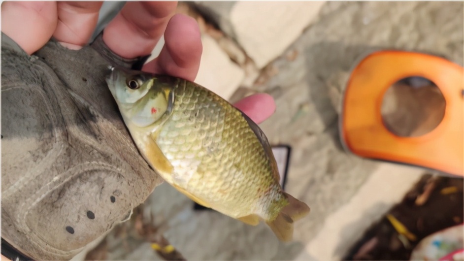 个人拍摄自媒体视频如何快速入门