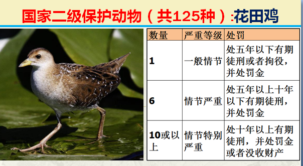 国家最新125类二级野生保护名录，图片及违法对应刑责