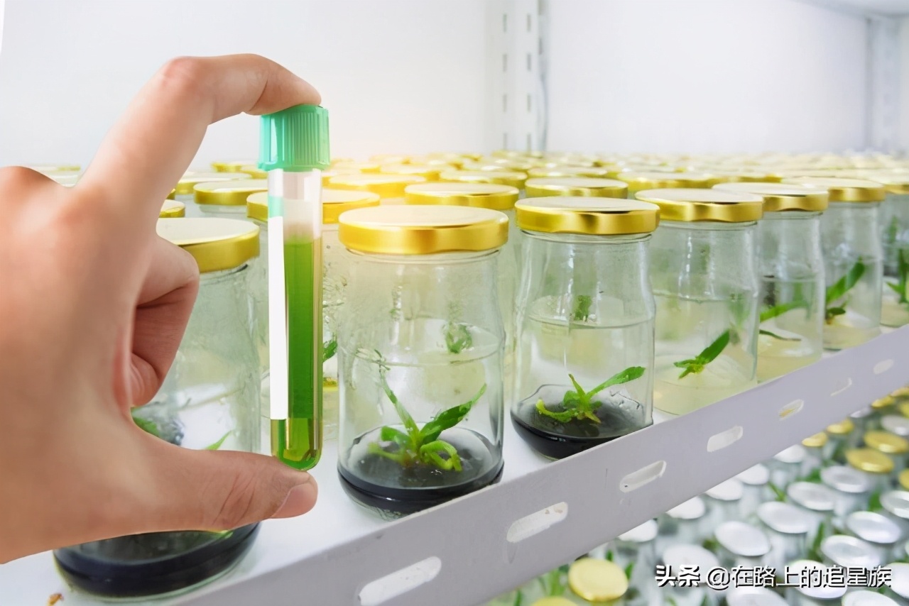 上海浦东 生物医药相关指定园区 适合新材料 化妆品 研发企业