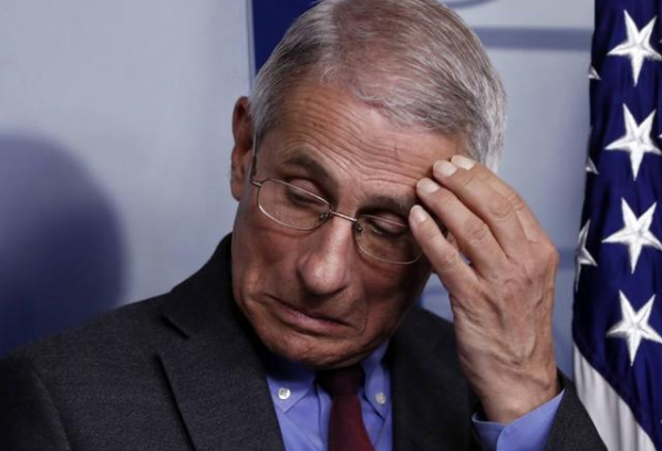 美或將迎來至暗時刻？ 多位美國專家連發預警，中國外交部重磅發聲