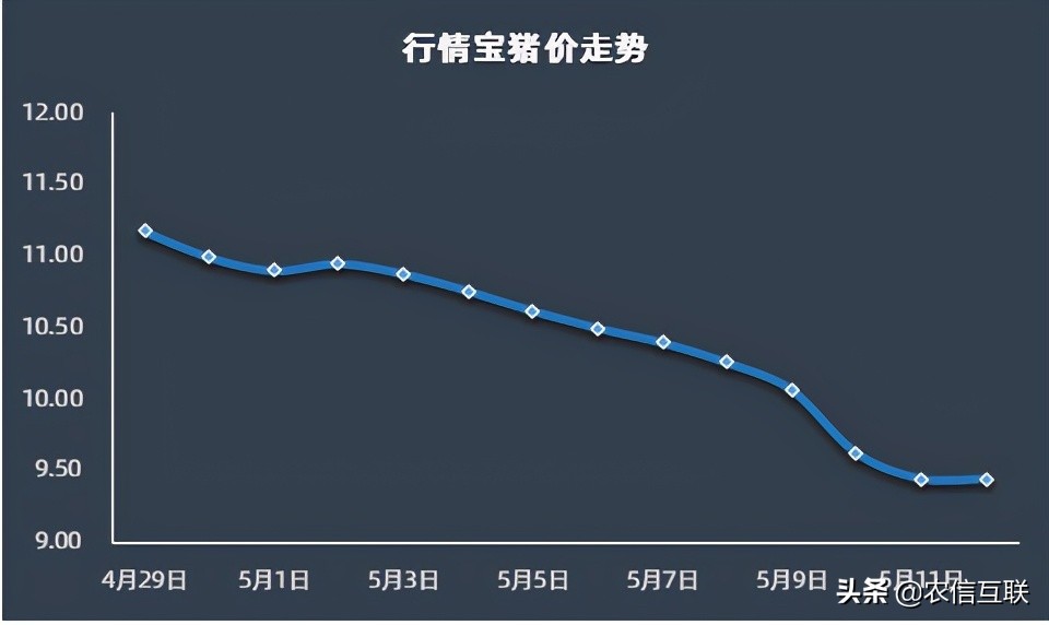 5月饲料连涨2波，猪价跌回“原形”，养殖户“活路”在哪？