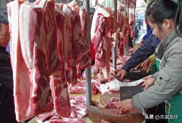 猪肉降下来了,大葱、白菜又涨价了?白菜再不是“白菜价”