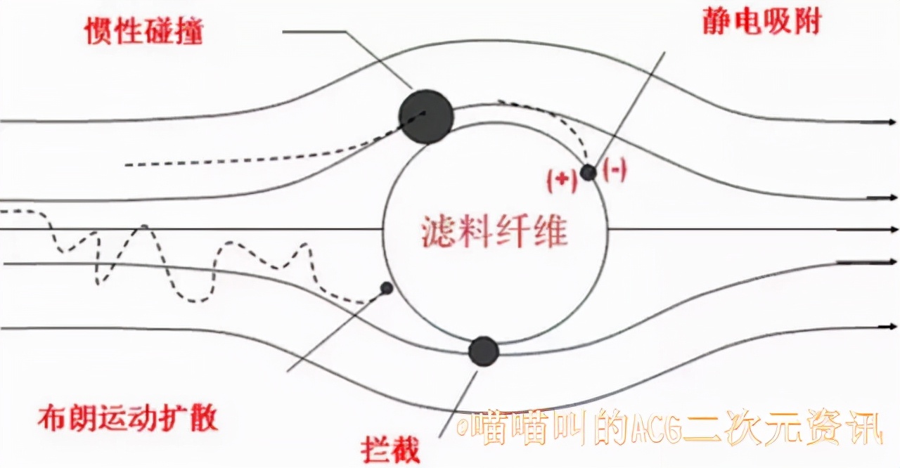 日本女性口罩越來越內衣化引發熱議，蕾絲花邊讓網友感覺像看胖次