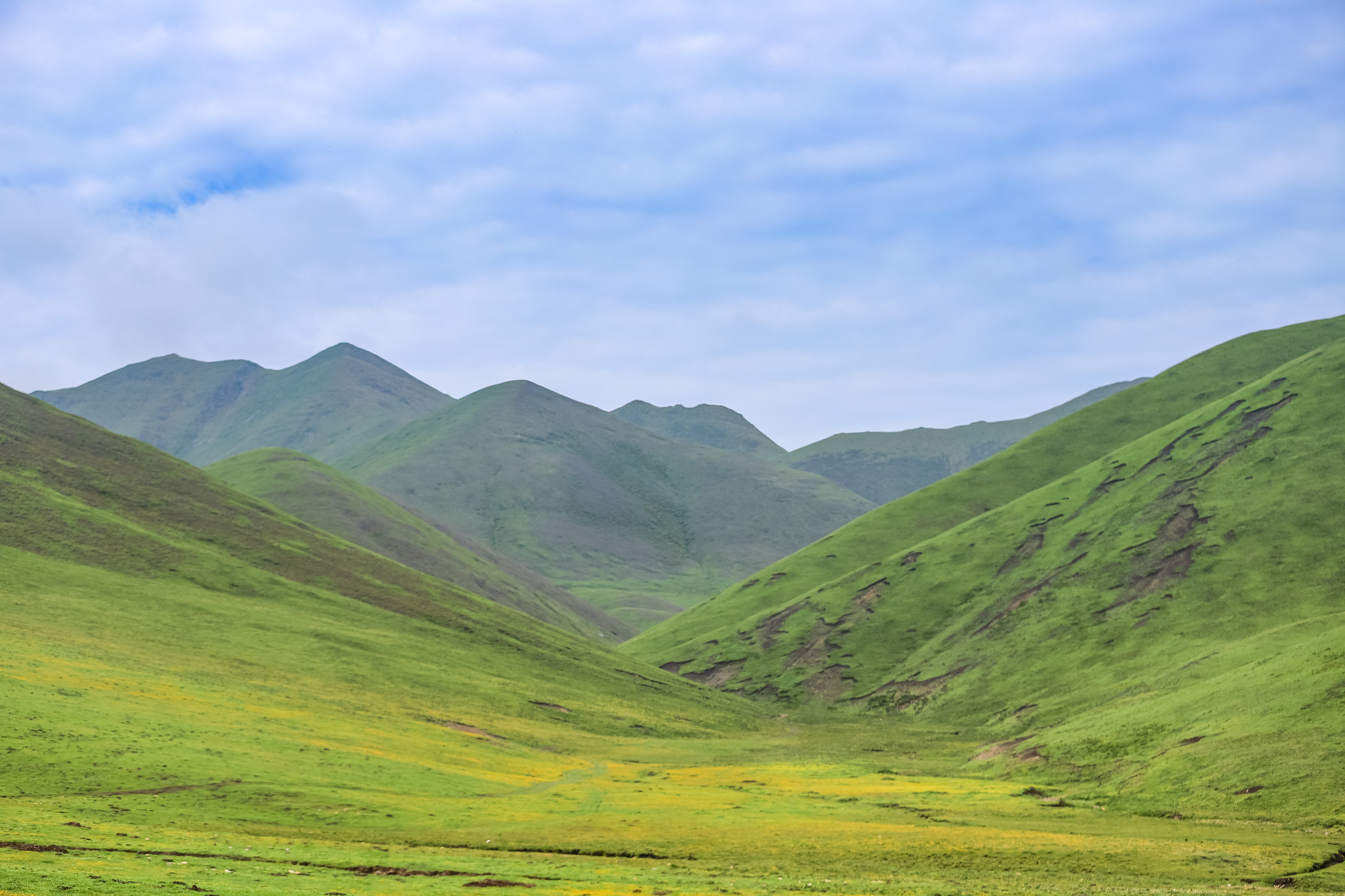 Gannan Zhaga is a small scenic spot, the grassy Guomang Wetland, the ...