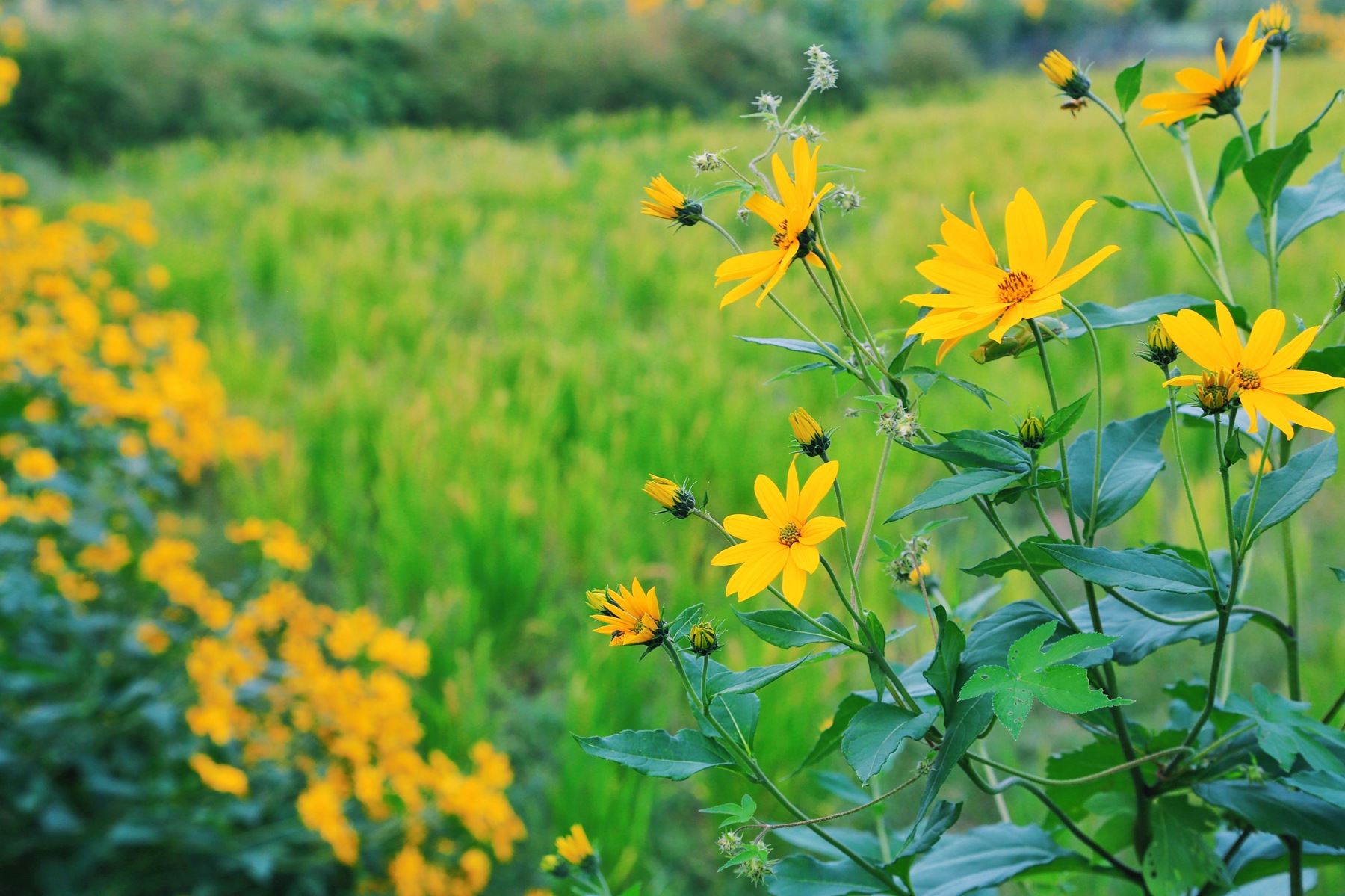 京郊密云小众亲子游，回归田园拥抱自然的超嗨假期