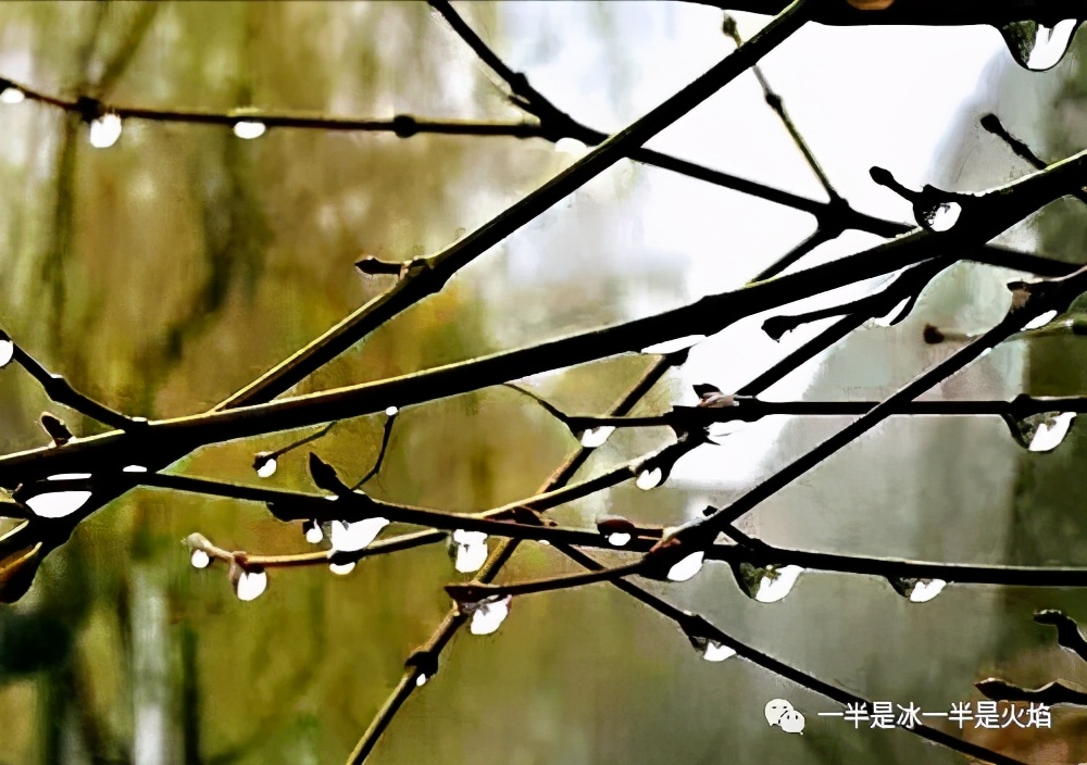 随笔：你那里下雨了吗-第1张图片-非凡网