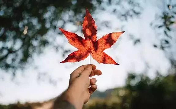 最适合留学移民的15个国家,看看有没有你中意的国家!